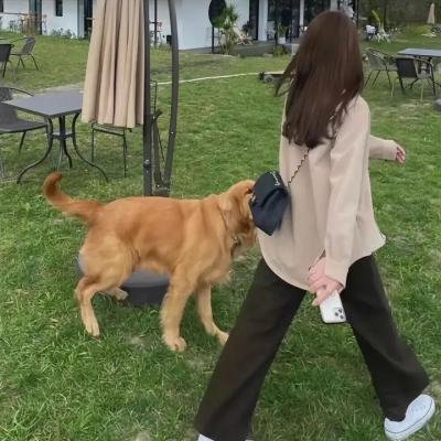 村里来了个洋媳妇