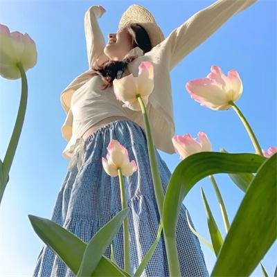 独活女子的推荐第二季